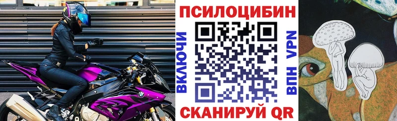 где продают   Руза  Псилоцибиновые грибы прущие грибы 